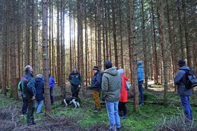 Stimmungsvolles Licht , das durch die Baumstämme bricht. Dabei ist die Gruppe der Stadträtinnen und Stadträte und der Verwaltung zu sehen. 