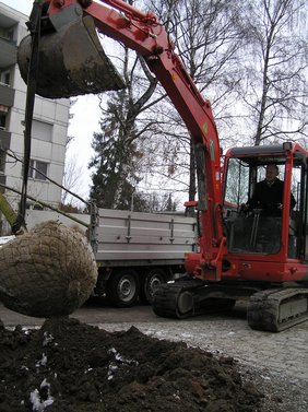 Oberbürgermeister Dr. Ivo Holzinger stellt den Baum bereit