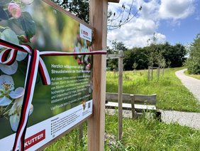 Schildtext: "Herzlich willkommen auf der Streuobstwiese der Stadt Memmingen. Auf dieser Wiese wachsen Obstbäume vielfältiger Sorten. Durch das natürliche Zusammenwirken von Bäumen und Wiese entsteht hier ein sehr hochwertiger Lebensraum. Dieser bietet Nahrung und Unterschlupf für Vögel, Schmetterlinge, Wildbienen und viele andere Arten. Viel Freude beim Entdecken, Ernten und Genießen! Realisierung des Projekts in Kooperation mit KUTTER Bauunternehmung. Pflückregeln: Erntet, was in Reichweite hängt und lest auch Früchte vom Boden auf. Pflückt in vernünftiger Menge für den Eigenbedarf. Die Wiese darf mit Fahrzeugen nicht befahren werden. Ernten auf eigene Gefahr - die Stadt Memmingen haftet nicht. Geht behutsam mit Bäumen, Wiese und Tieren um. 