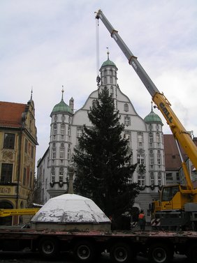 Weihnachtsbaum wird aufgestellt