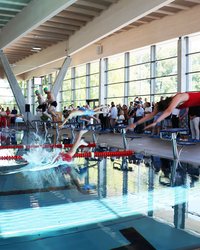 Die acht Leute springen fast gleichzeitig von Startblöcken ins Wasser, dahinter die vielen Gäste der Eröffnung.