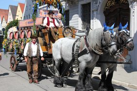 Das Brauereigespann vor dem Einzug auf den Marktplatz