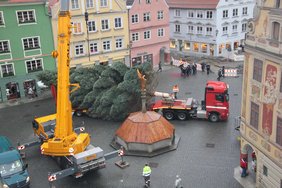 Der Baum auf dem Tieflader