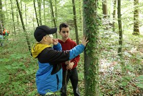Zwei Jungs stehen an einem Baum, einer trägt eine Augenbinde und befühlt mit zwei Händen den Baum, der andere Junge schaut ihm zu.