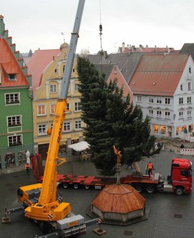 Der Christbaum schwebt über den Platz