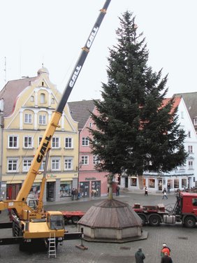 Der Weihnachtsbaum schwebt über dem Marktplatz