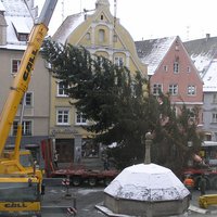 Kran hebt Weihnachtsbaum auf