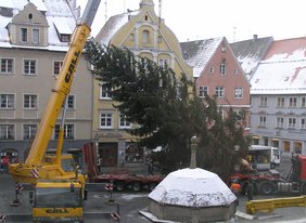 Kran hebt Weihnachtsbaum auf