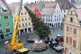 Aus dem Rathaus von oben fotografiert: Der Baum wird gerade von einem Autokran angehoben.