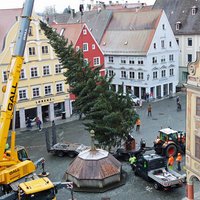 Aus dem Rathaus von oben fotografiert: Der Baum wird gerade von einem Autokran angehoben.