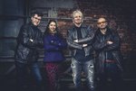 The Bassmonsters
