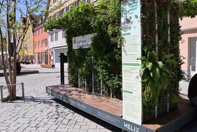Das Grüne Zimmer ist wie eine Sitzgelegenheit mit begrünter Rückwand und begrüntem Dach. Man kann auf einer Sonnen- oder einer Schattenseite Platz nehmen. Es steht direkt neben der Bushaltestelle am Weinmarkt. 