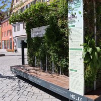 Das Grüne Zimmer ist wie eine Sitzgelegenheit mit begrünter Rückwand und begrüntem Dach. Man kann auf einer Sonnen- oder einer Schattenseite Platz nehmen. Es steht direkt neben der Bushaltestelle am Weinmarkt. 