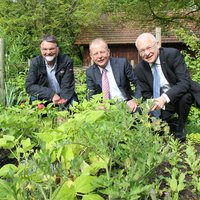 Die drei Herren knien hinter hohen grünen Pflanzen im Bauerngarten der Neuen Welt