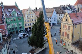 Der Baum hängt am Kran über dem Marktplatz.