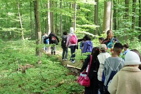 Eine Kindergruppe von hinten gesehen läuft einen Waldpfad entlang