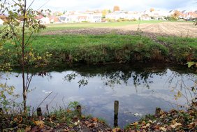 Bild des lauschigen Bächleins mit einem Feld und Wohnhäusern dahinter.